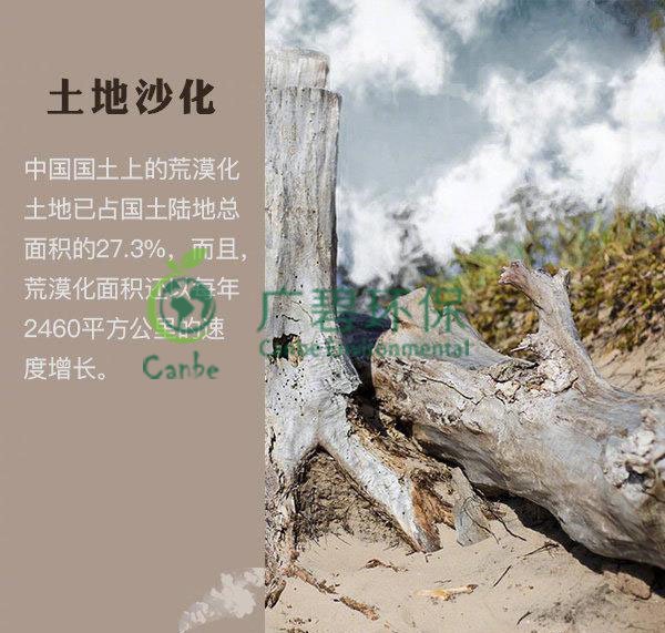 世界地球日 我們能為地球做些什么？(圖4)
