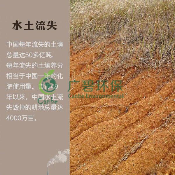 世界地球日 我們能為地球做些什么？(圖7)