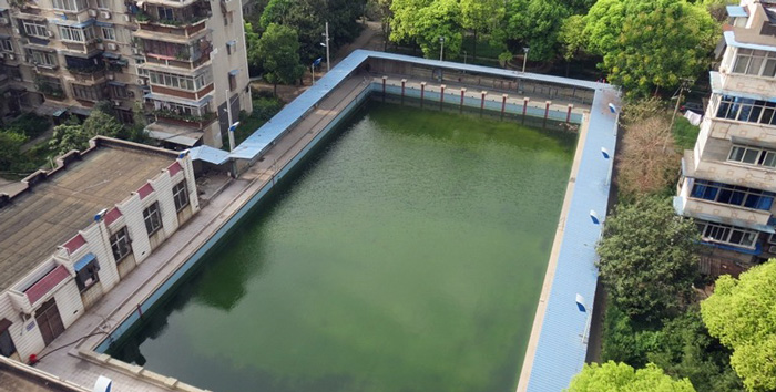 游泳池水變綠是什么原因？游泳池水處理方法