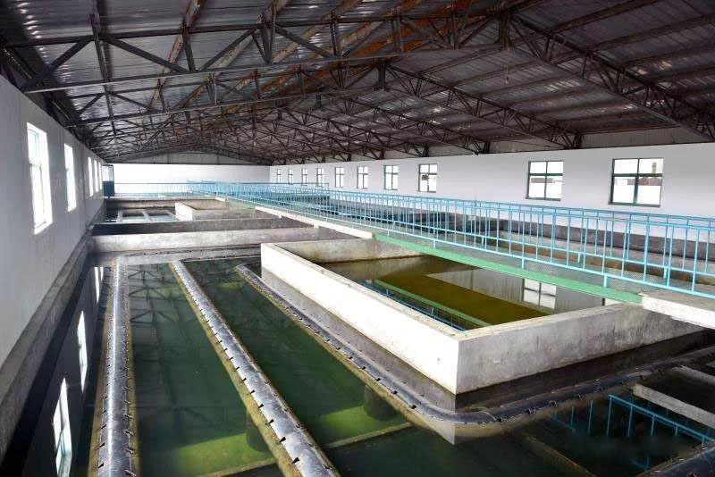 什么是制糖廢水？制糖廢水處理技術