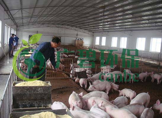 什么是養(yǎng)殖廢水？養(yǎng)殖廢水處理工藝(圖1)