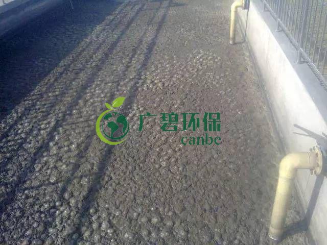 污泥發(fā)黑是什么原因造成？污泥發(fā)黑經(jīng)驗(yàn)分享(圖1)