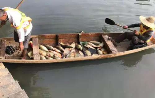 廣州旺旺食品廢水直排，永和河大量魚類死亡