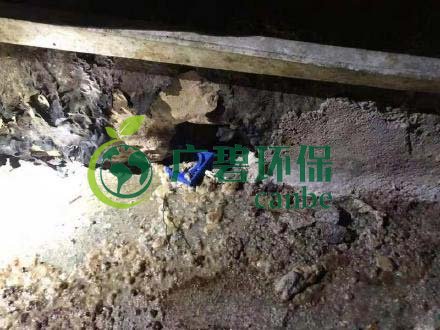 廣州旺旺食品廢水直排，永和河大量魚類死亡(圖4)