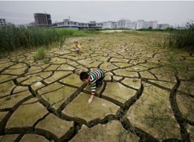 【世界土壤日】《土壤污染防治法》有哪些亮點？