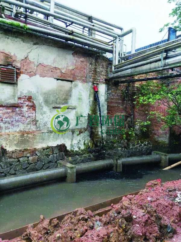 廣州海珠有污水直排河涌，3名涉案人員被行政拘留(圖1)