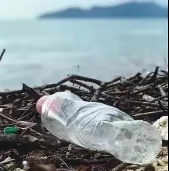世界地球日|珍愛(ài)地球，人與自然和諧共生(圖8)