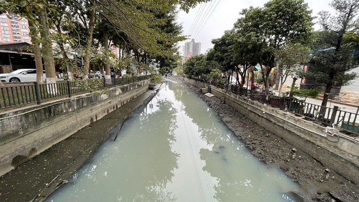 順德大良石洛涌、八坊涌整治見(jiàn)成效(圖3)